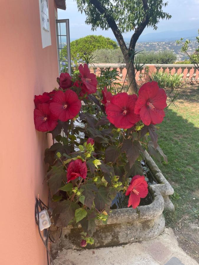 Chambre D'Hotes A L'Ancre Marine De La Villa Rose 尼斯 外观 照片